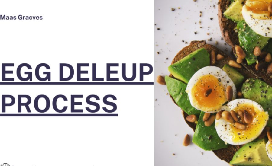 What is the Egg Deleup Process?