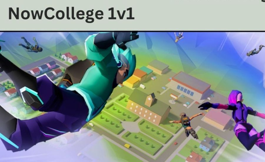 What is NowCollege 1v1?