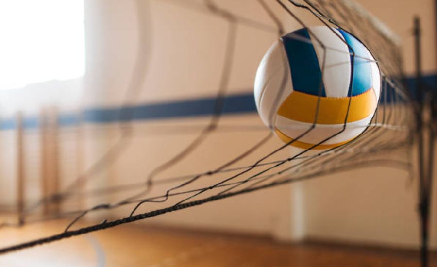 Early Life and Introduction to Volleyball